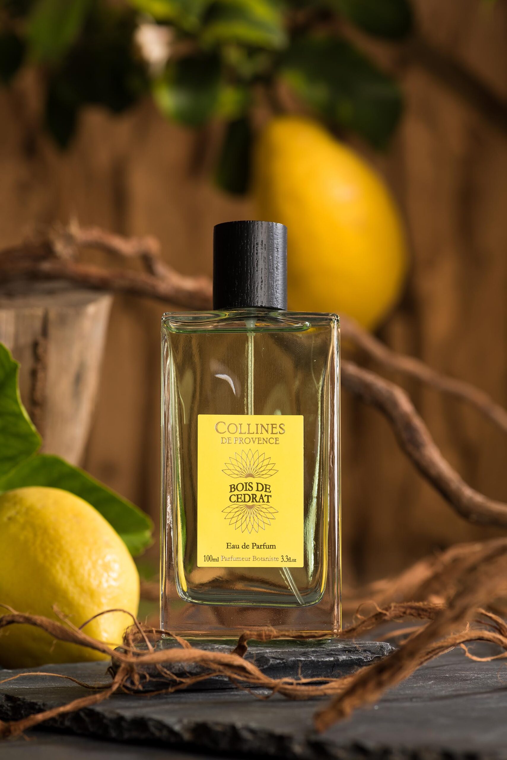 Parfum Collines de Provence Bois de Cédrat dans un décor boisé avec citron